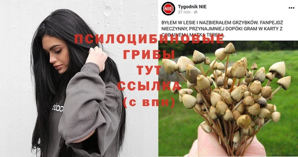 эйфоретик Нязепетровск