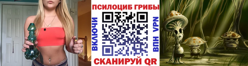 omg ТОР купить наркоту Саки Галлюциногенные грибы прущие грибы