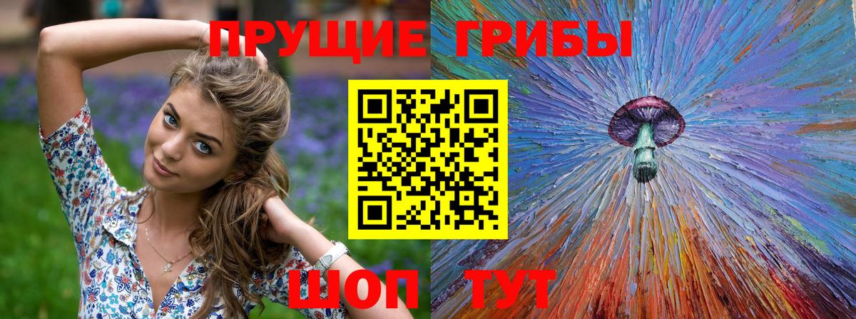 Галлюциногенные грибы мицелий Саки