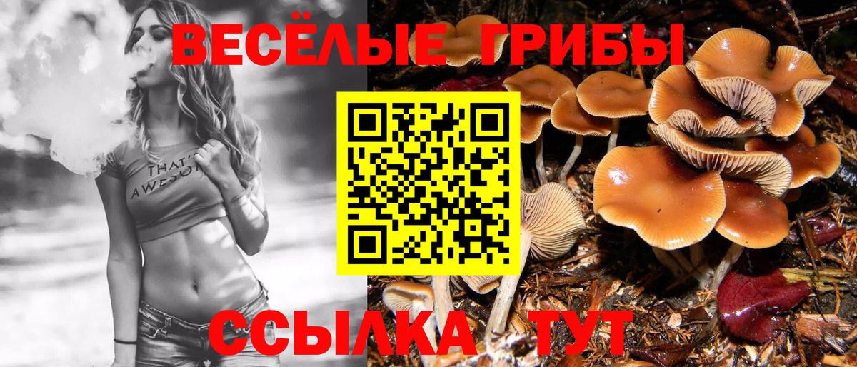 Саки  что такое   Галлюциногенные грибы Magic Shrooms  Вход с VPN  Галлюциногенные грибы ЛСД 