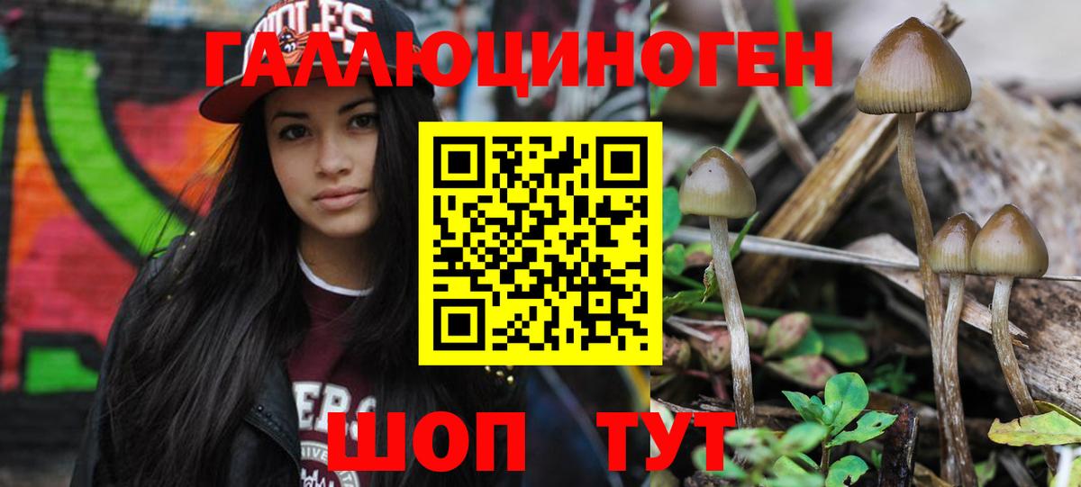 Псилоцибиновые грибы мухоморы  Саки 