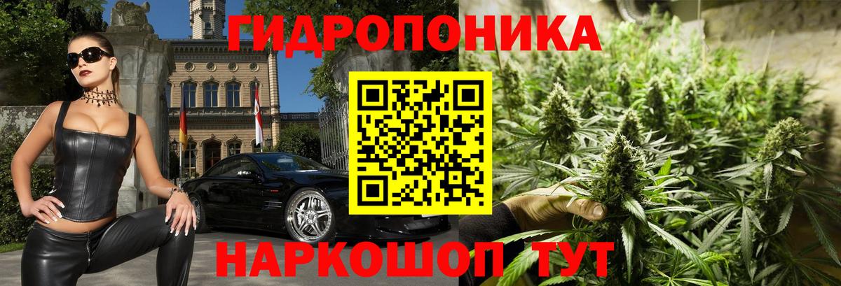 Конопля SATIVA & INDICA Саки